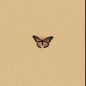 Meet your Posher, Jaylene